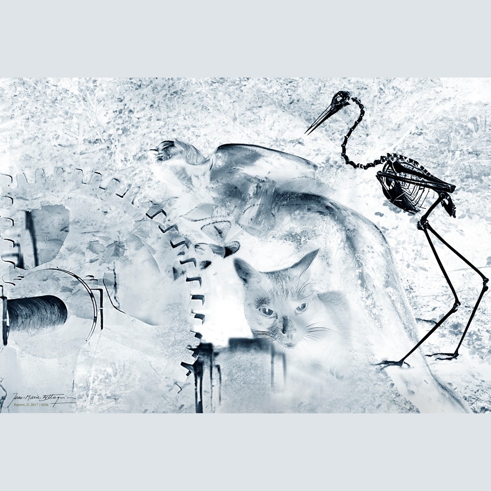 Einladung zur Ausstellung von Jean-Marie Bottequin